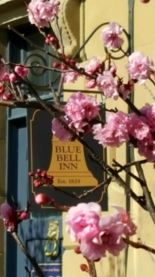 Blue Bell Inn Sorell Exterior foto